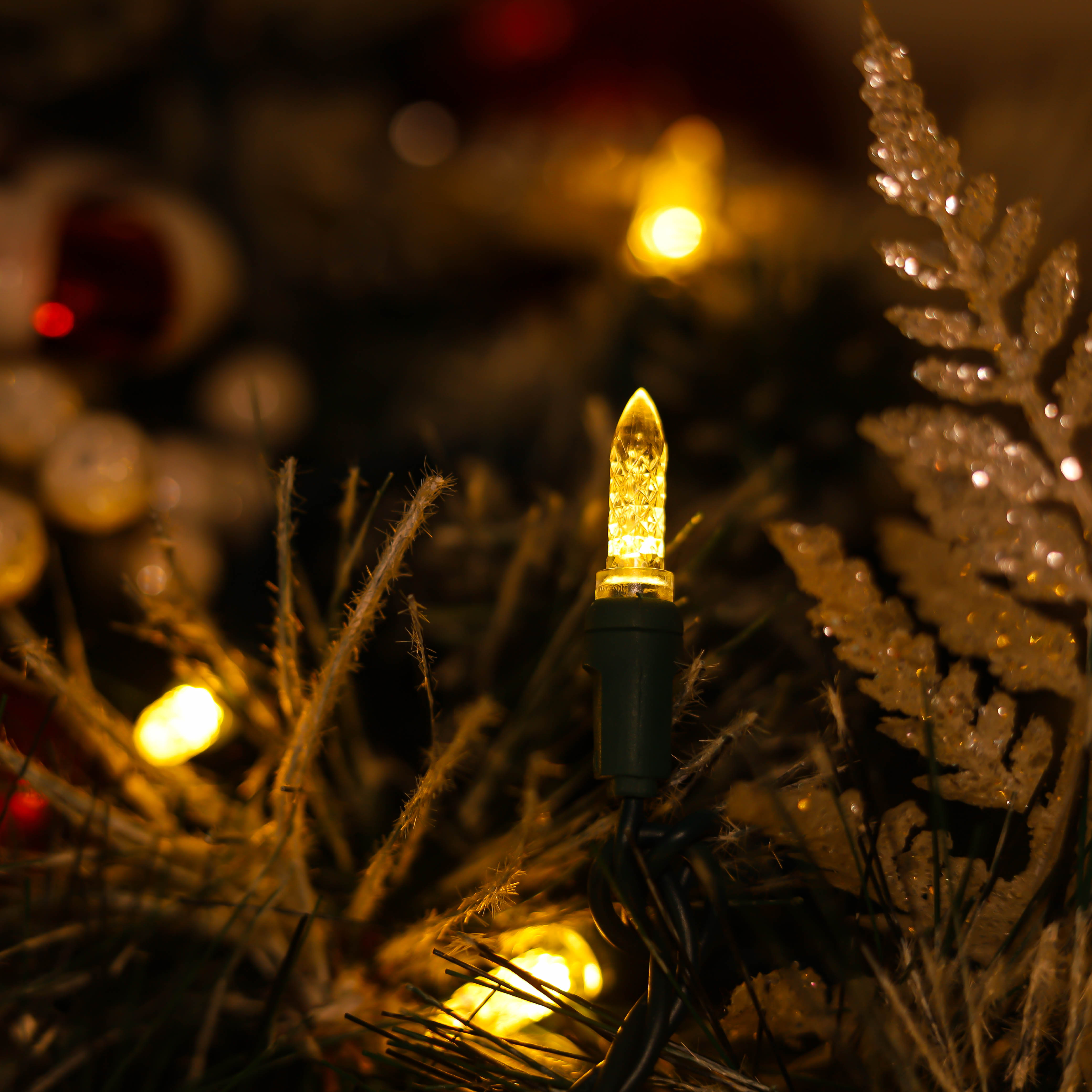 Luces navideñas LED M5 con certificación UL de color blanco cálido