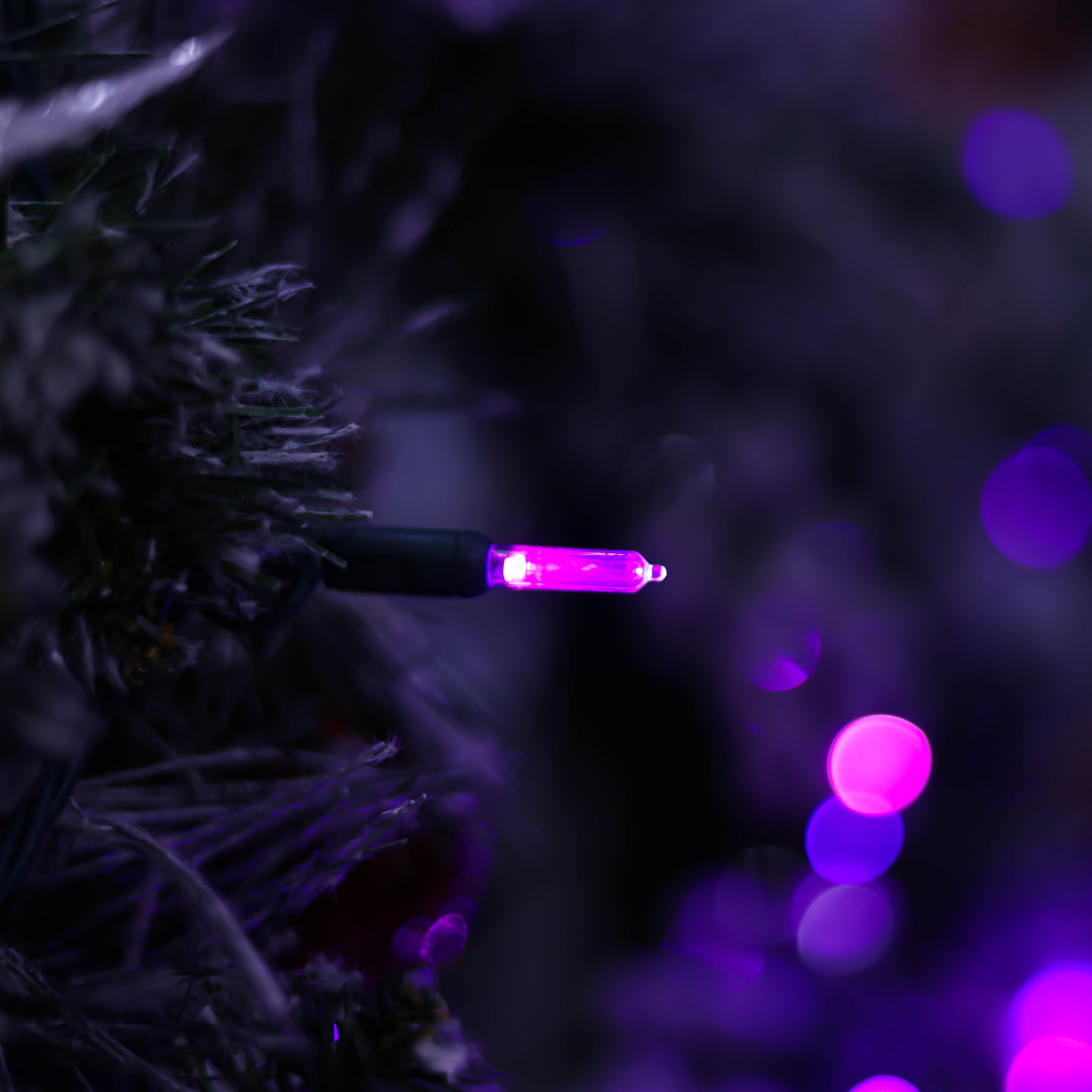 La secuencia de la UL T5 LED enciende la luz púrpura de Halloween de la luz de Navidad