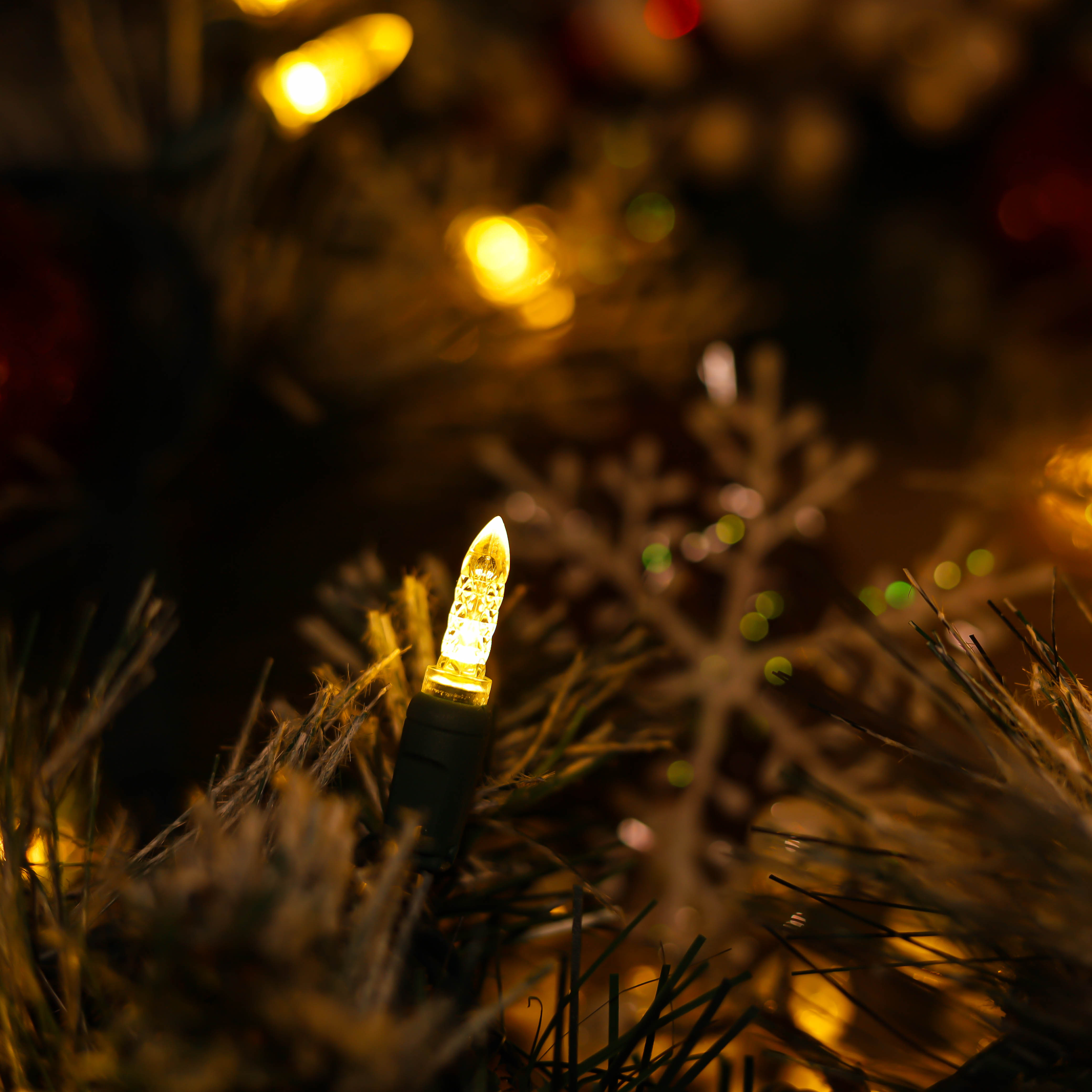 Luces navideñas LED M5 con certificación UL de color blanco cálido