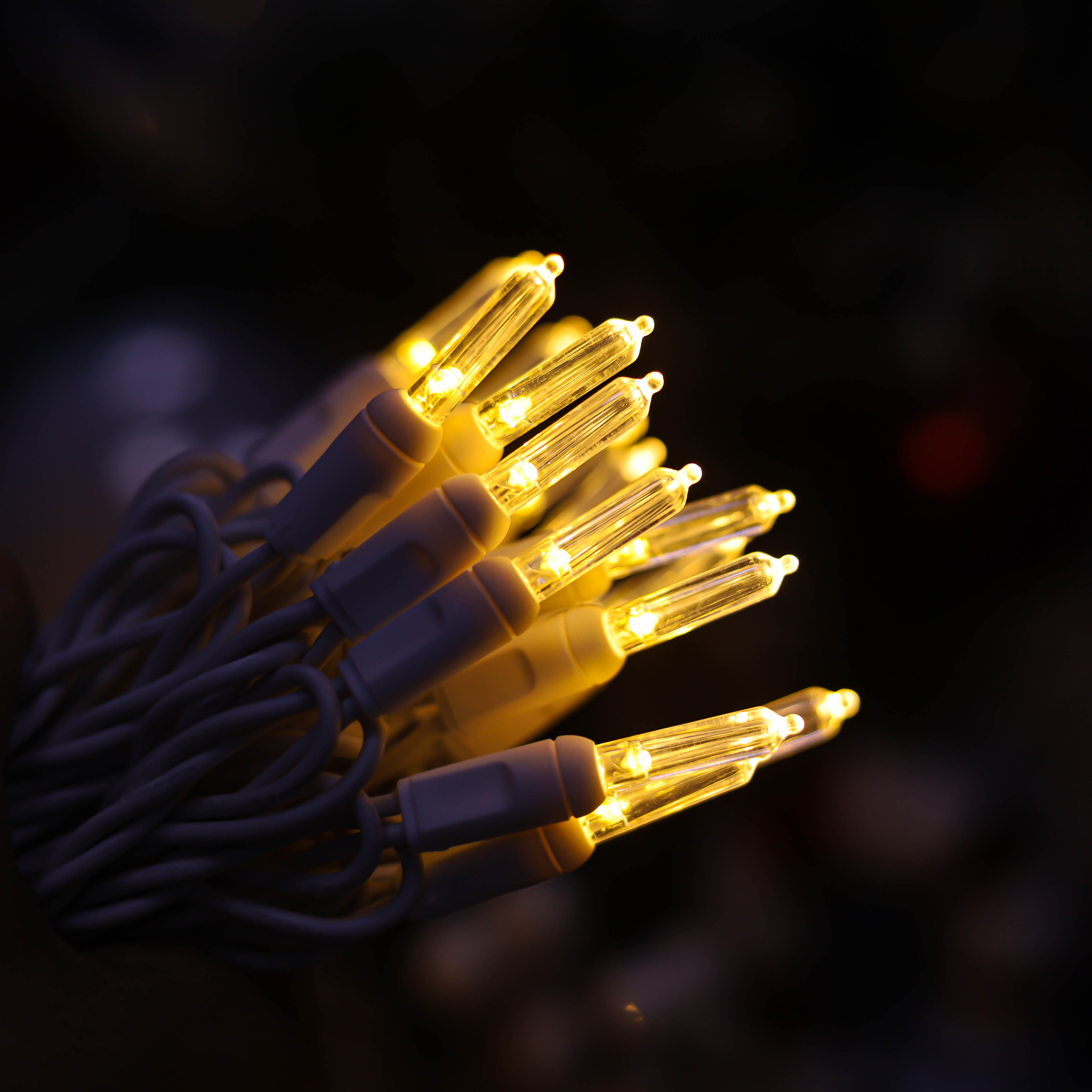 T5 Luces LED de Navidad blanca tibia de T5