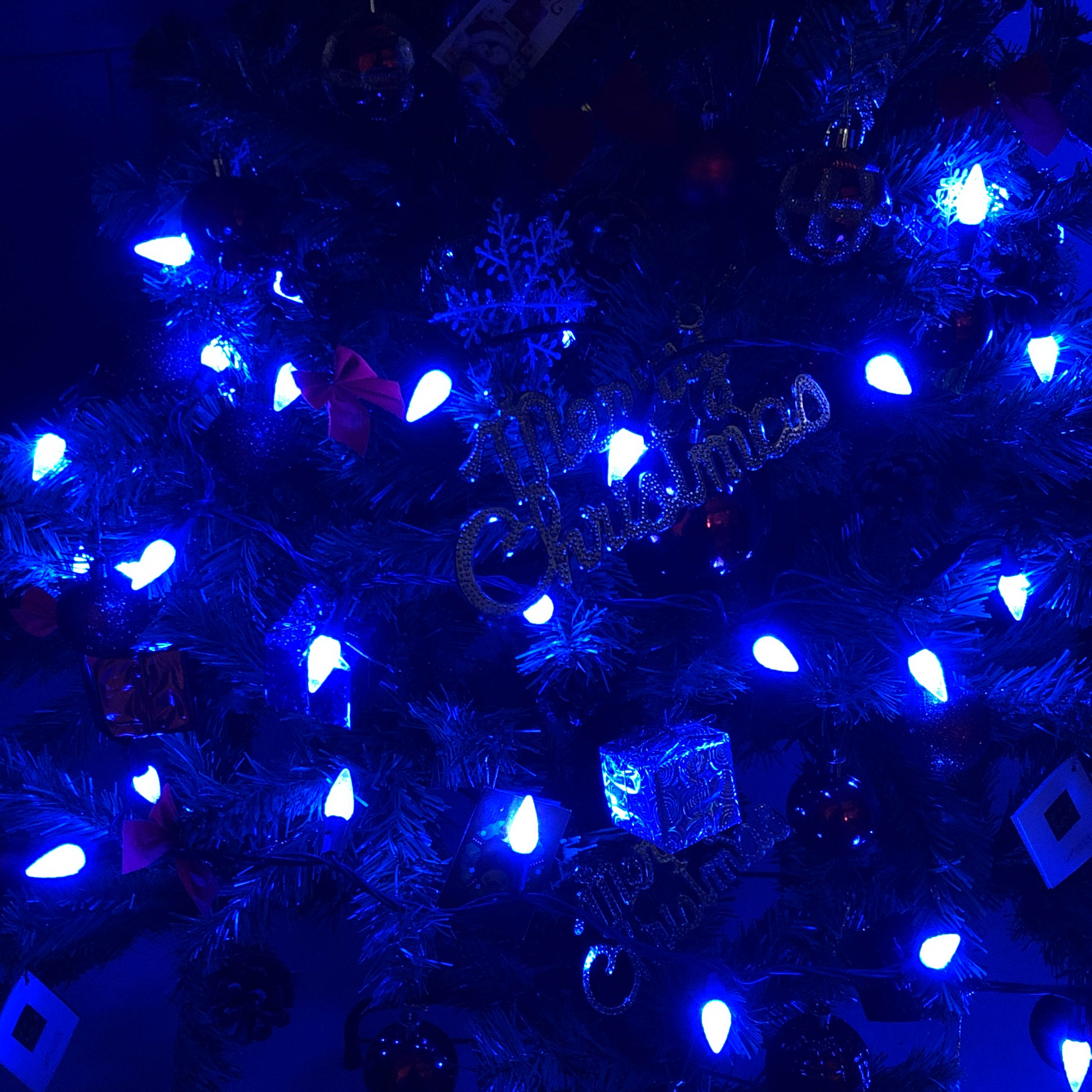 UL C6 Luces navideñas de fresa azul