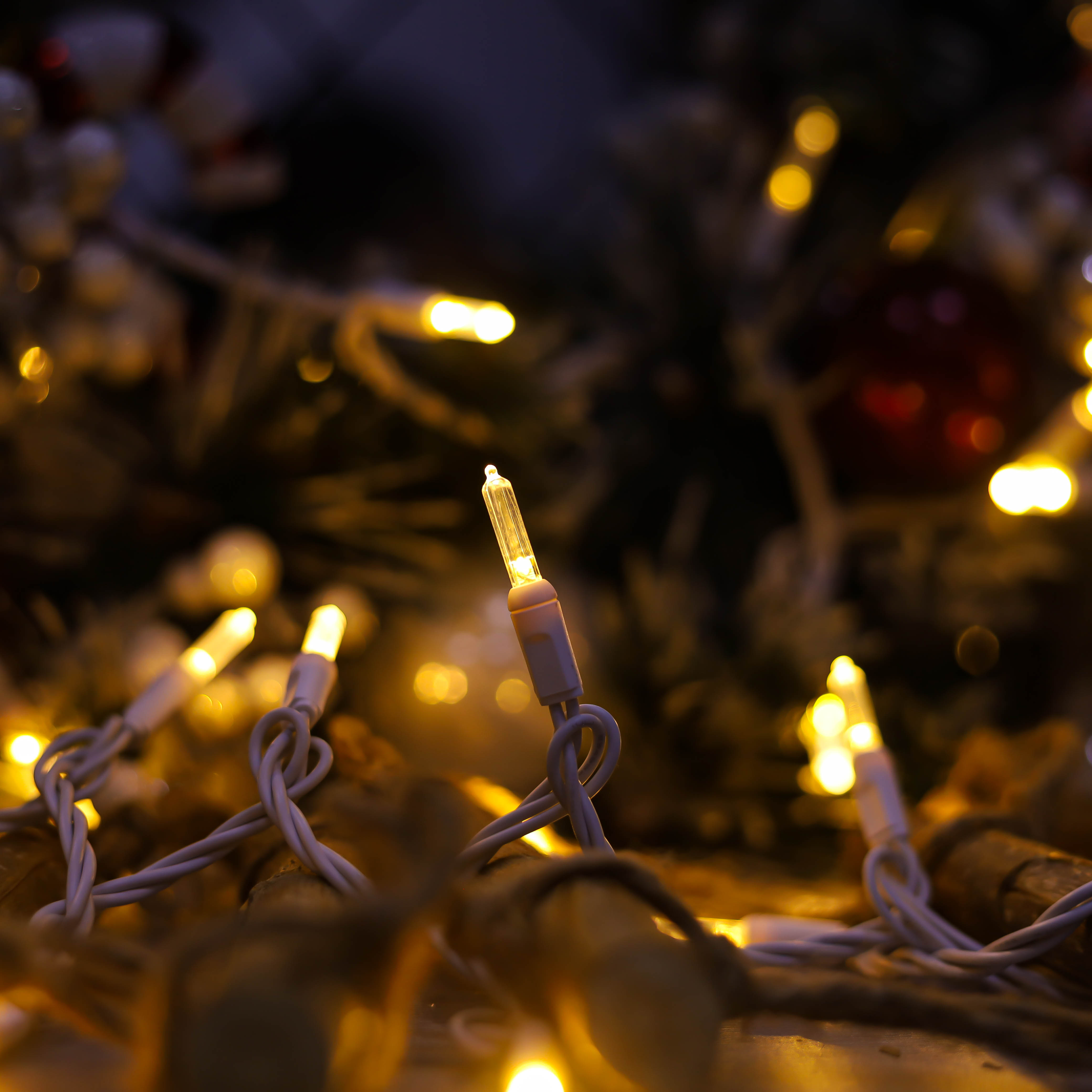 T5 Luces LED de Navidad blanca tibia de T5