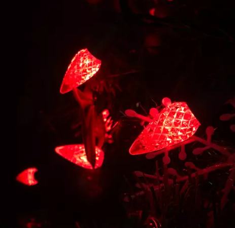 Solar vs. Guirnaldas de luces enchufables: ¿cuál es la adecuada para usted?