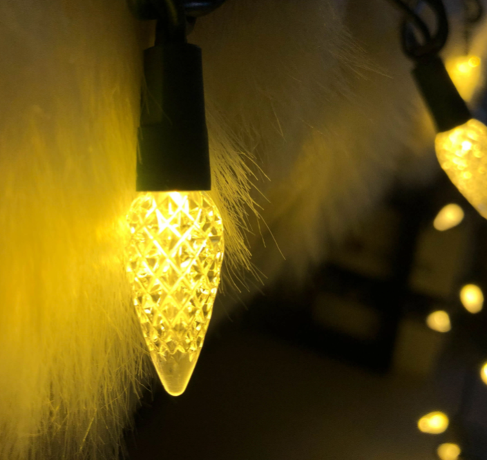 Bombillas LED de vidrio regulables IP65 S14 E26